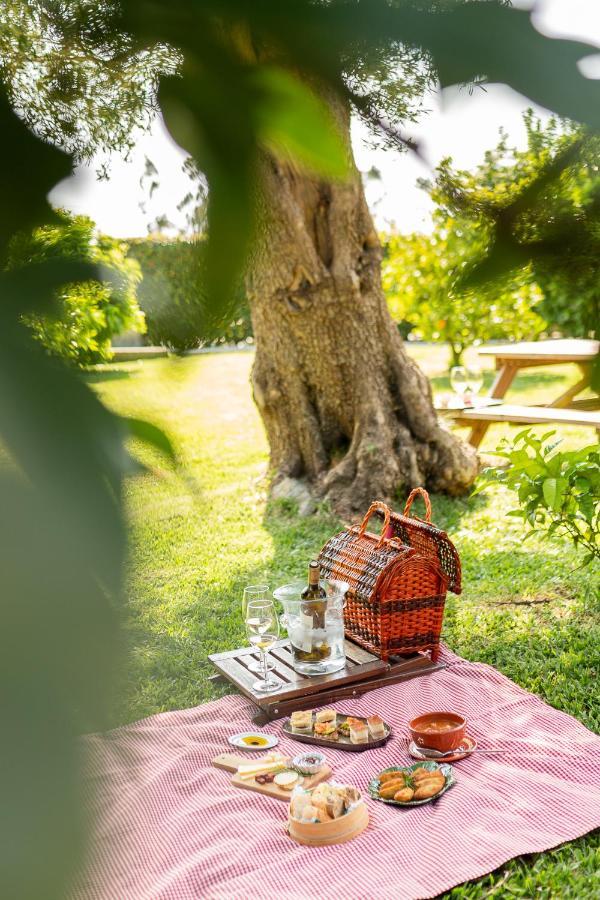 Casa Lata - Agroturismo E Enoturismo アマレス エクステリア 写真